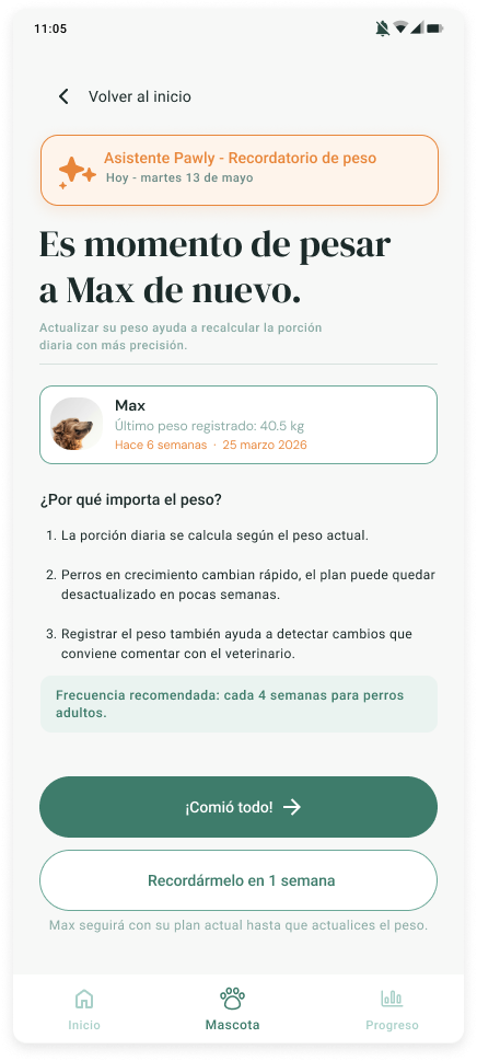 Wireframe 14